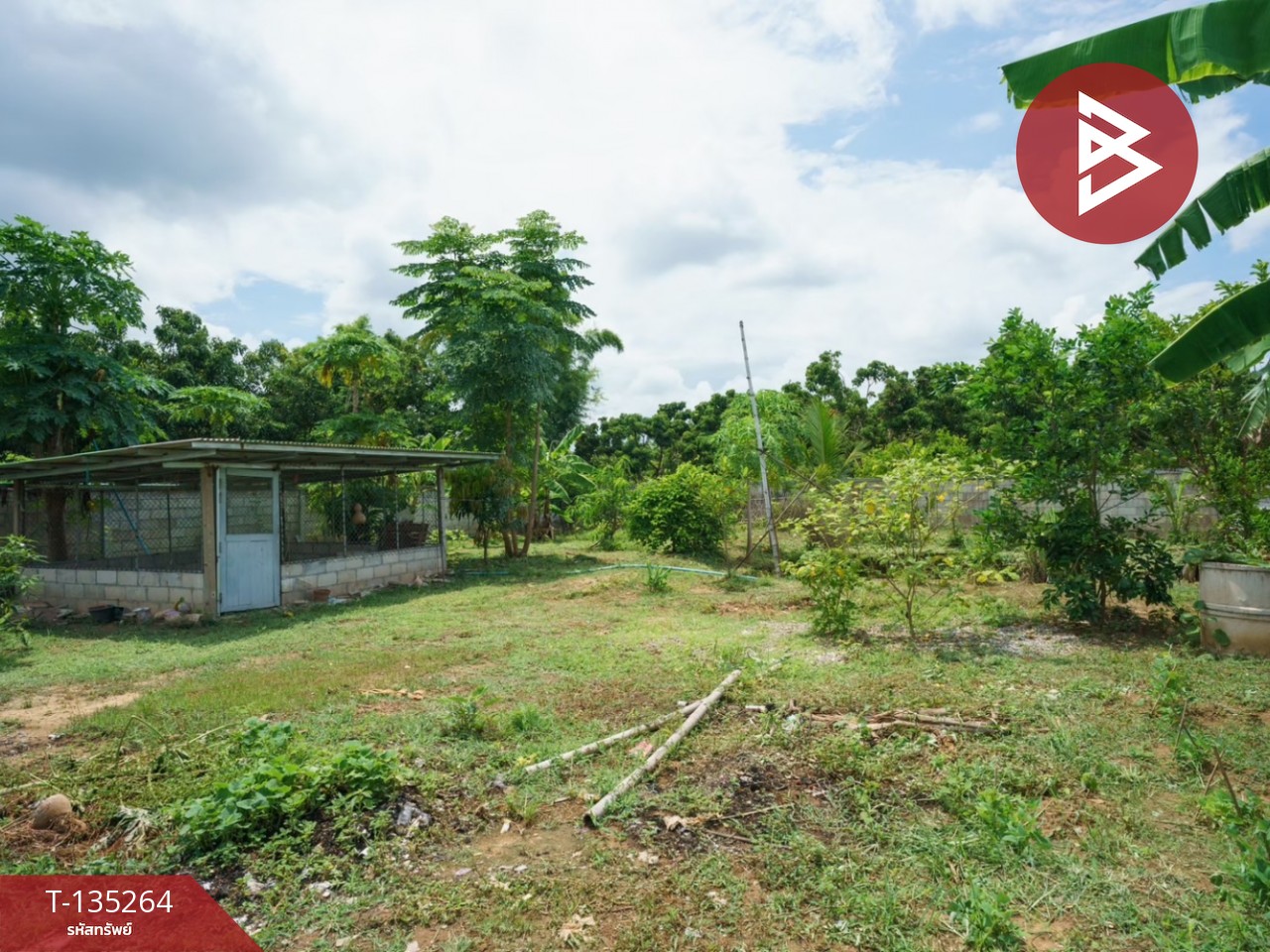 ขายบ้านเดี่ยว เนื้อที่ 2 งาน 26 ตร.วา เวียงหนองล่อง ลำพูน 13