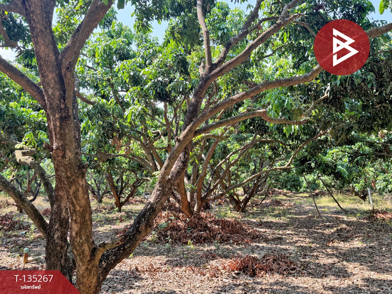 ขายที่ดิน เนื้อที่ 2 งาน 23.6 ตร.วา เวียงหนองล่อง ลำพูน 4