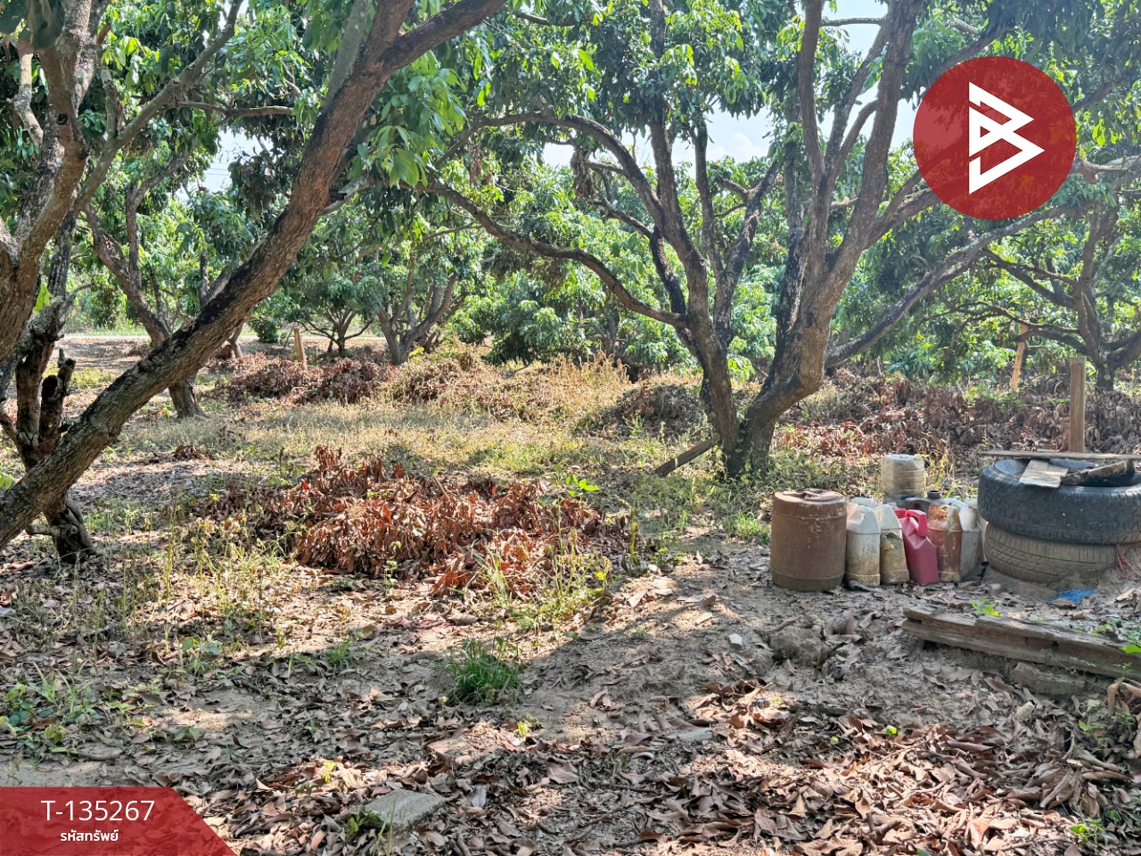 ขายที่ดิน เนื้อที่ 2 งาน 23.6 ตร.วา เวียงหนองล่อง ลำพูน 7