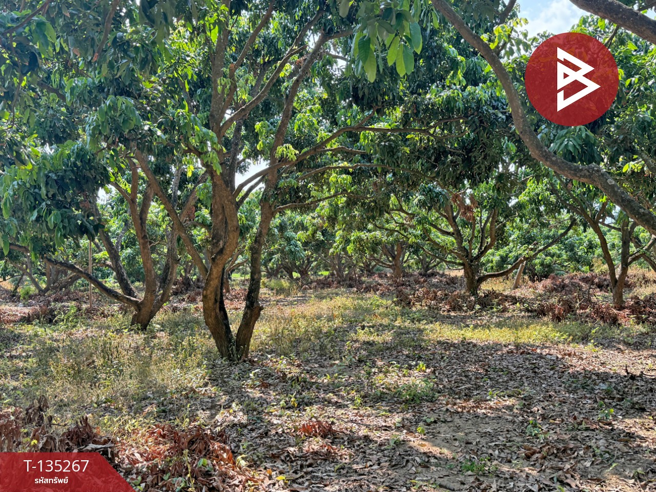 ขายที่ดิน เนื้อที่ 2 งาน 23.6 ตร.วา เวียงหนองล่อง ลำพูน 3