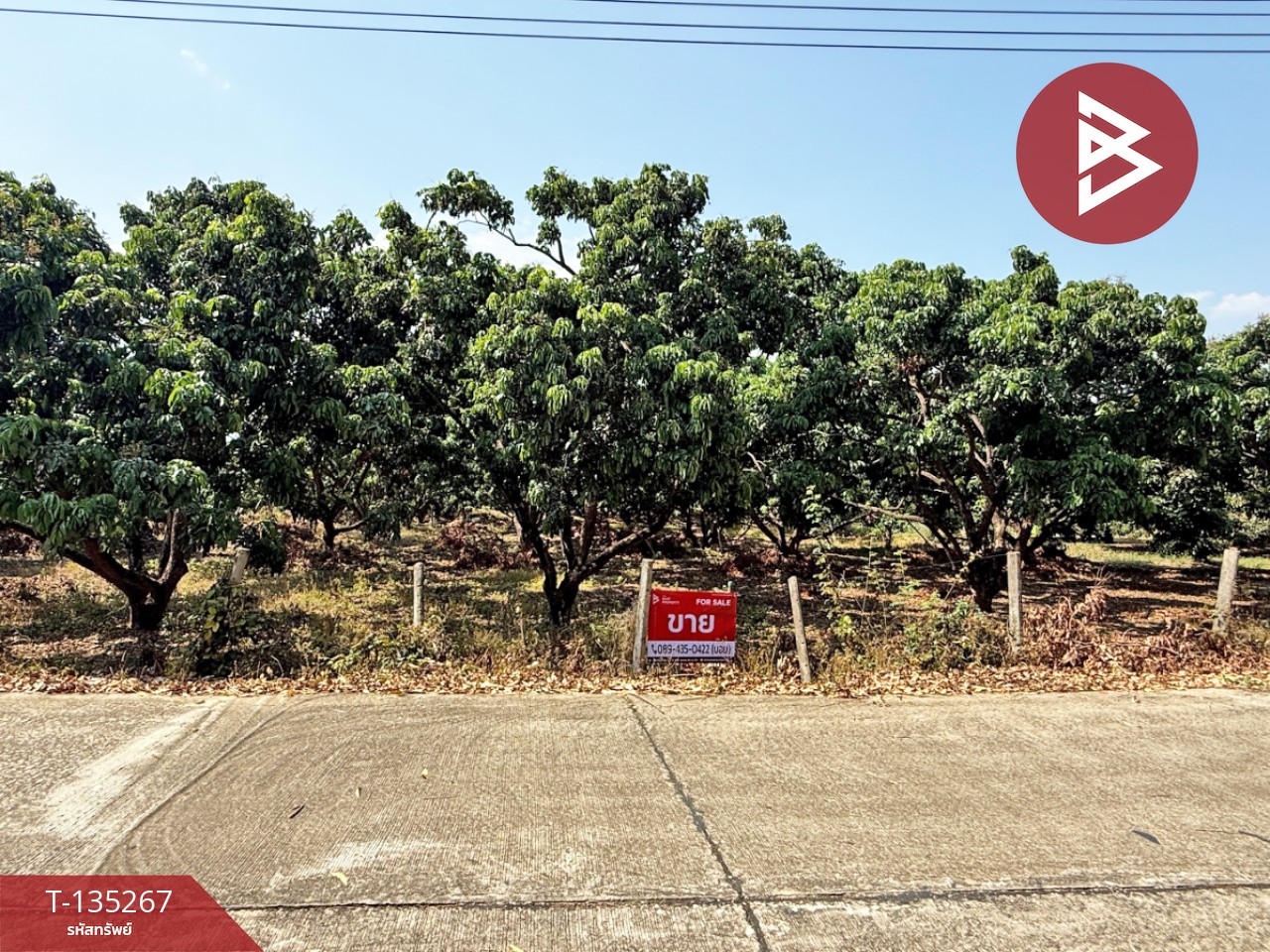 ขายที่ดิน เนื้อที่ 2 งาน 23.6 ตร.วา เวียงหนองล่อง ลำพูน 1