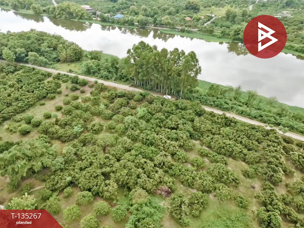 ขายที่ดิน เนื้อที่ 2 งาน 23.6 ตร.วา เวียงหนองล่อง ลำพูน 10