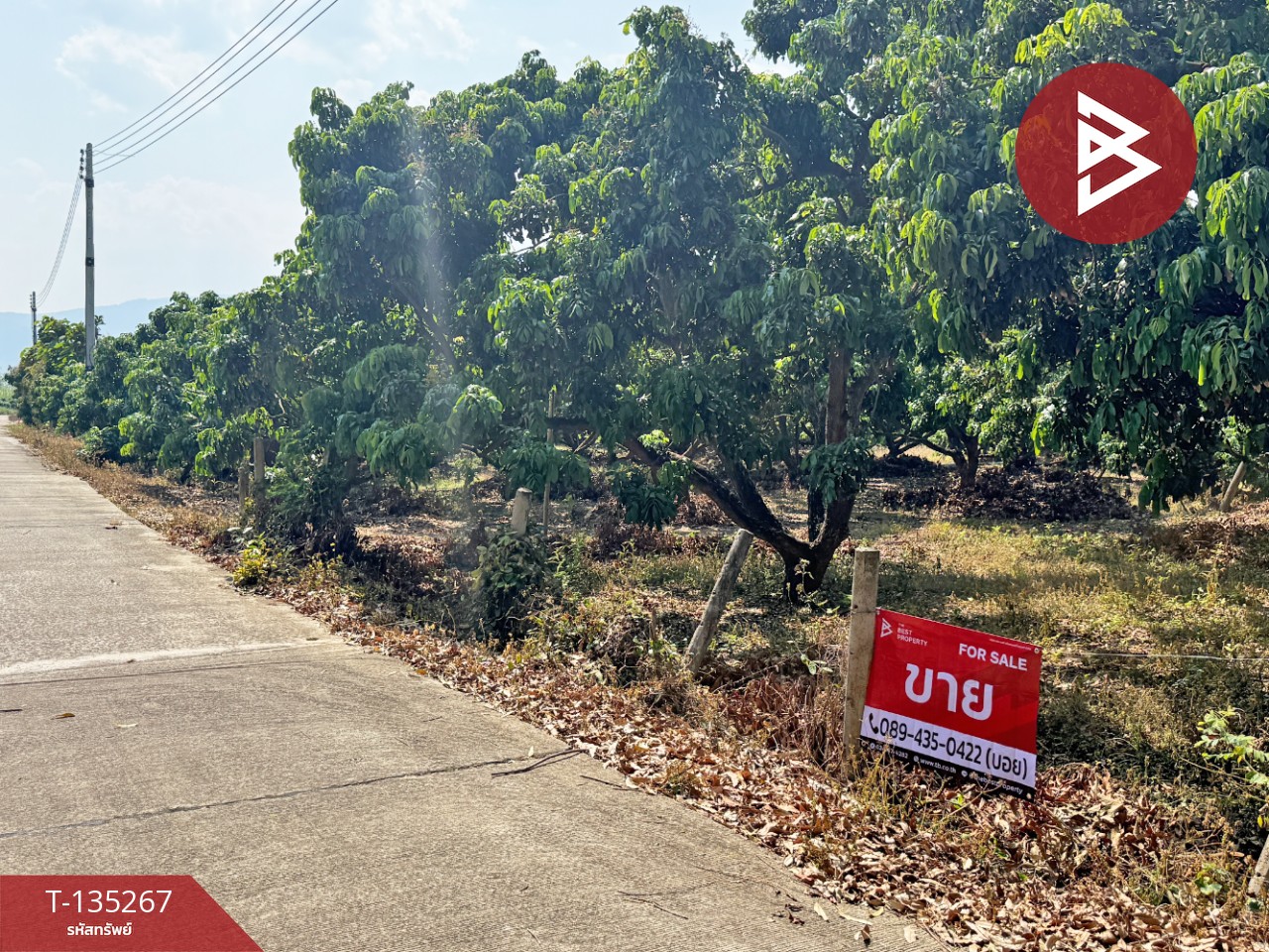 ขายที่ดิน เนื้อที่ 2 งาน 23.6 ตร.วา เวียงหนองล่อง ลำพูน 2