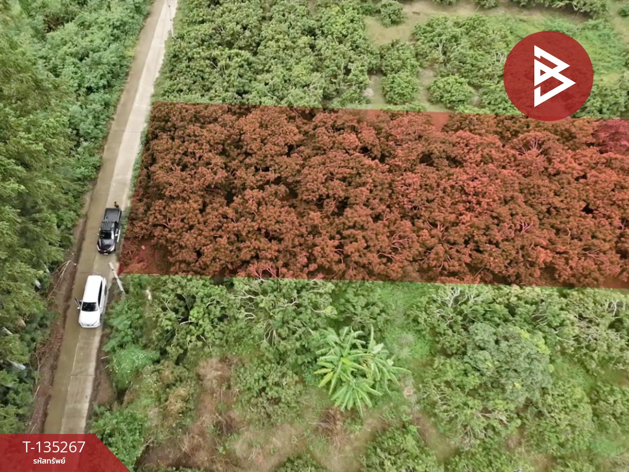 ขายที่ดิน เนื้อที่ 2 งาน 23.6 ตร.วา เวียงหนองล่อง ลำพูน 11