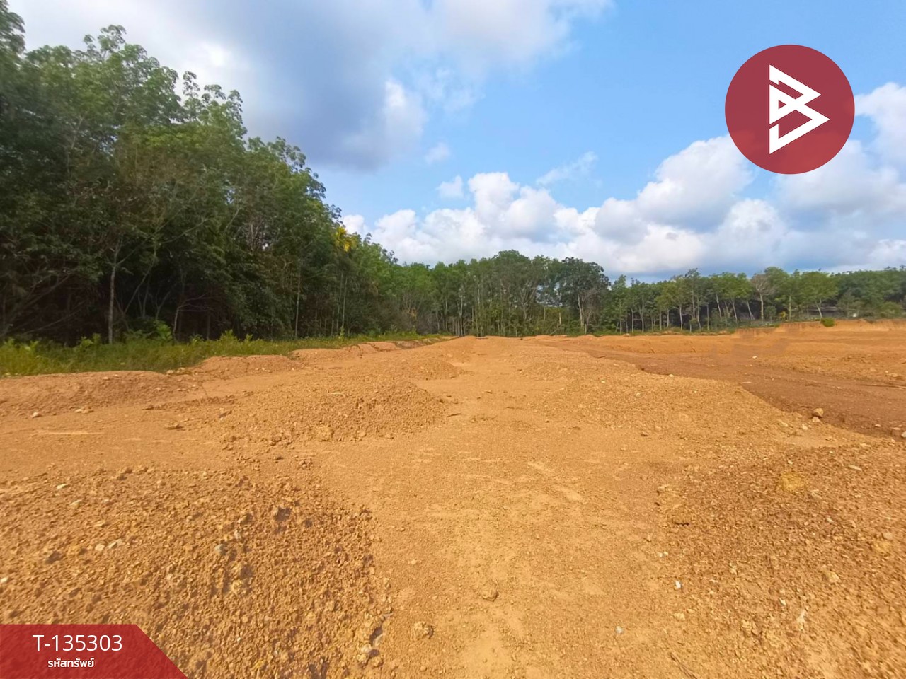 ขายที่ดิน เนื้อที่ 1 ไร่ 1 งาน 61 ตร.วา แสลง จันทบุรี 9