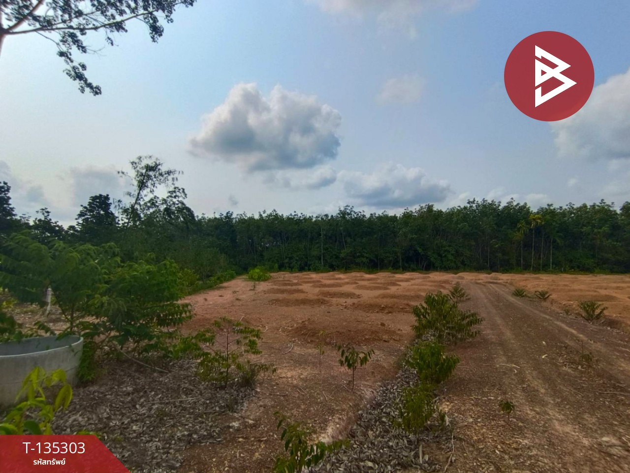 ขายที่ดิน เนื้อที่ 1 ไร่ 1 งาน 61 ตร.วา แสลง จันทบุรี 3