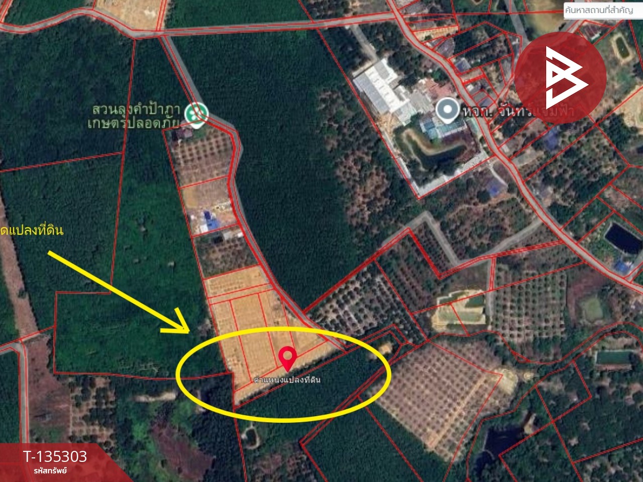 ขายที่ดิน เนื้อที่ 1 ไร่ 1 งาน 61 ตร.วา แสลง จันทบุรี 1