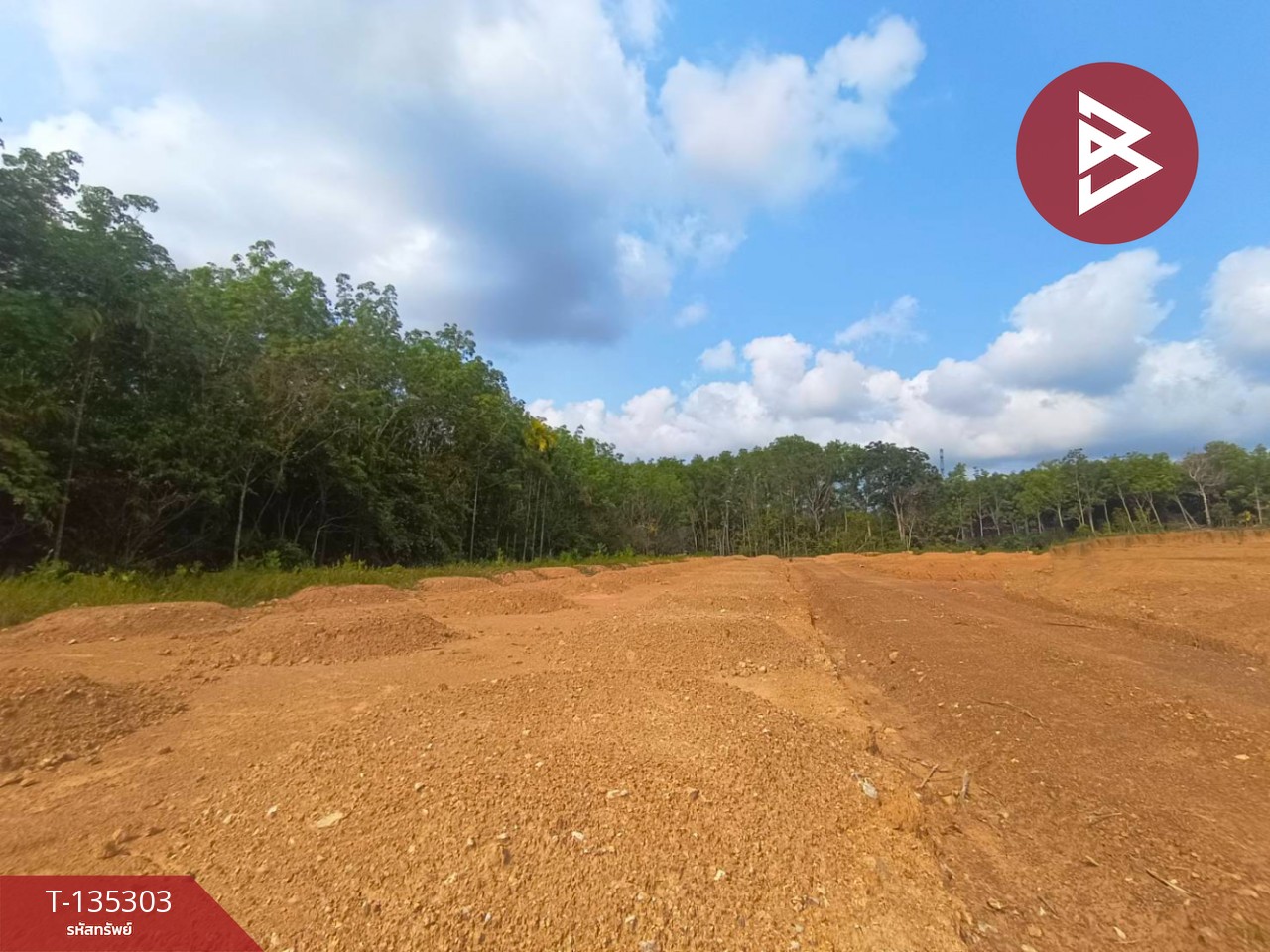 ขายที่ดิน เนื้อที่ 1 ไร่ 1 งาน 61 ตร.วา แสลง จันทบุรี 8