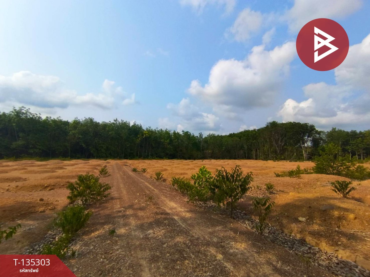 ขายที่ดิน เนื้อที่ 1 ไร่ 1 งาน 61 ตร.วา แสลง จันทบุรี 4