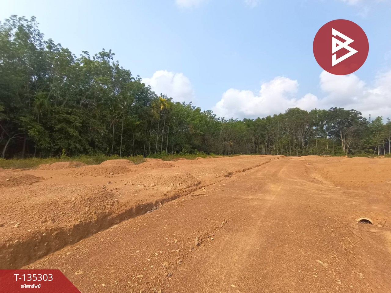 ขายที่ดิน เนื้อที่ 1 ไร่ 1 งาน 61 ตร.วา แสลง จันทบุรี 5