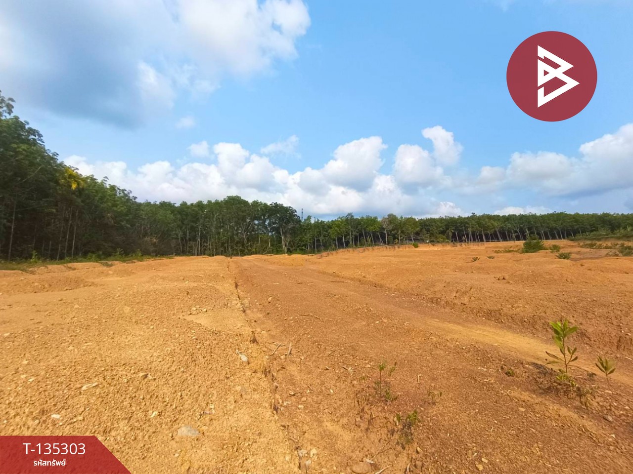 ขายที่ดิน เนื้อที่ 1 ไร่ 1 งาน 61 ตร.วา แสลง จันทบุรี 7