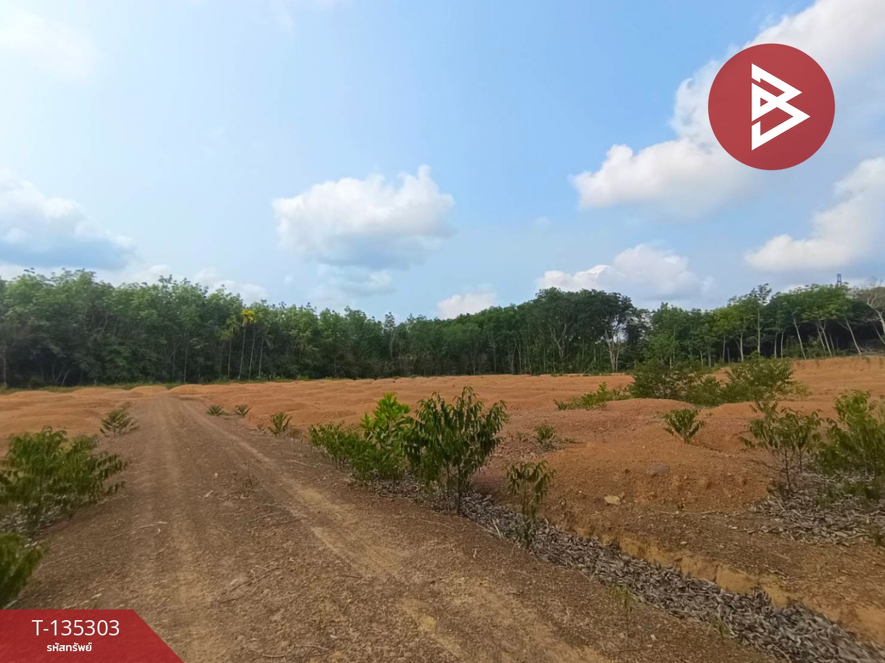 ขายที่ดิน เนื้อที่ 1 ไร่ 1 งาน 61 ตร.วา แสลง จันทบุรี 2