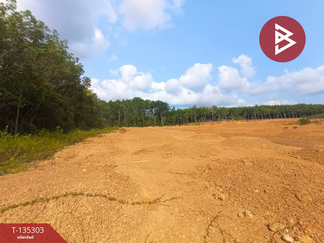 ขายที่ดิน เนื้อที่ 1 ไร่ 1 งาน 61 ตร.วา แสลง จันทบุรี 6