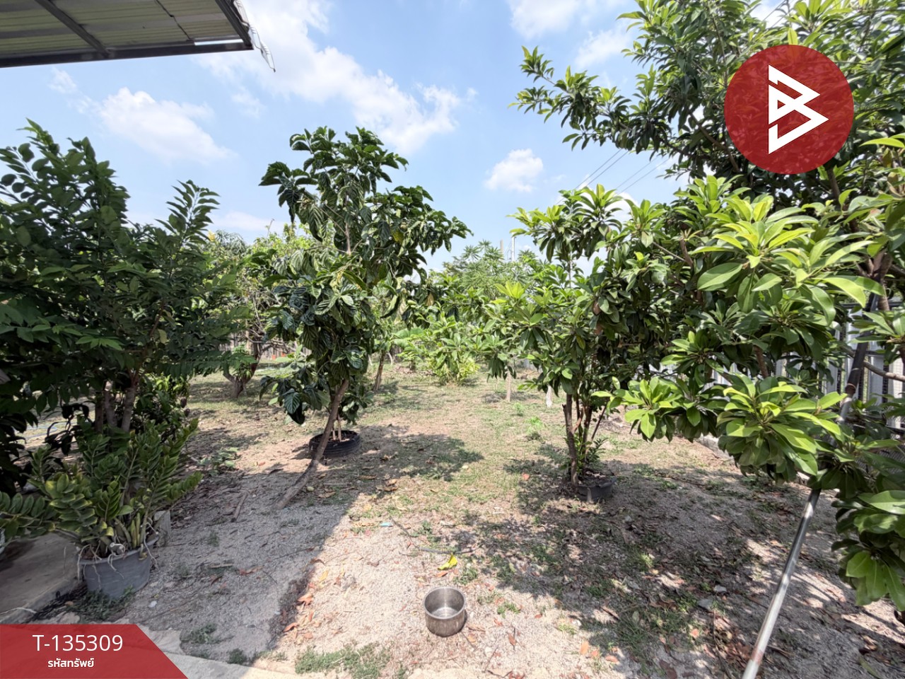 ขายบ้านเดี่ยวพร้อมสวน เนื้อที่ 2 งาน เขาขลุง บ้านโป่ง จ.ราชบุรี 13