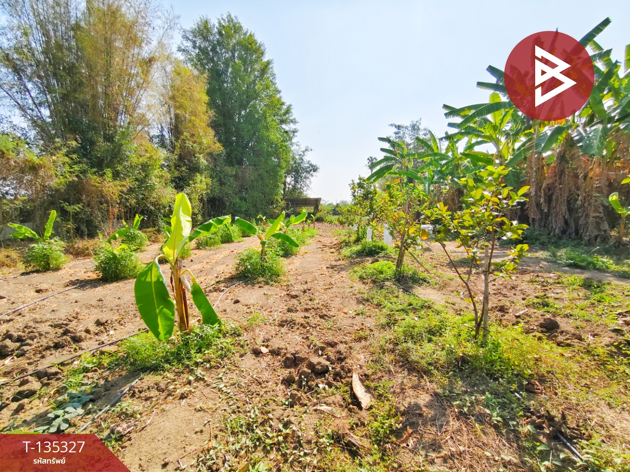 ขายบ้านเดี่ยวพร้อมที่ดิน เนื้อที่ 3 ไร่ บ้านโป่ง ราชบุรี 14