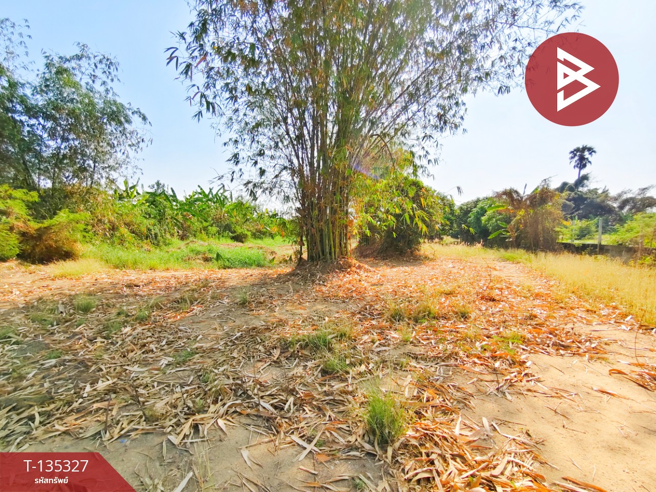 ขายบ้านเดี่ยวพร้อมที่ดิน เนื้อที่ 3 ไร่ บ้านโป่ง ราชบุรี 15