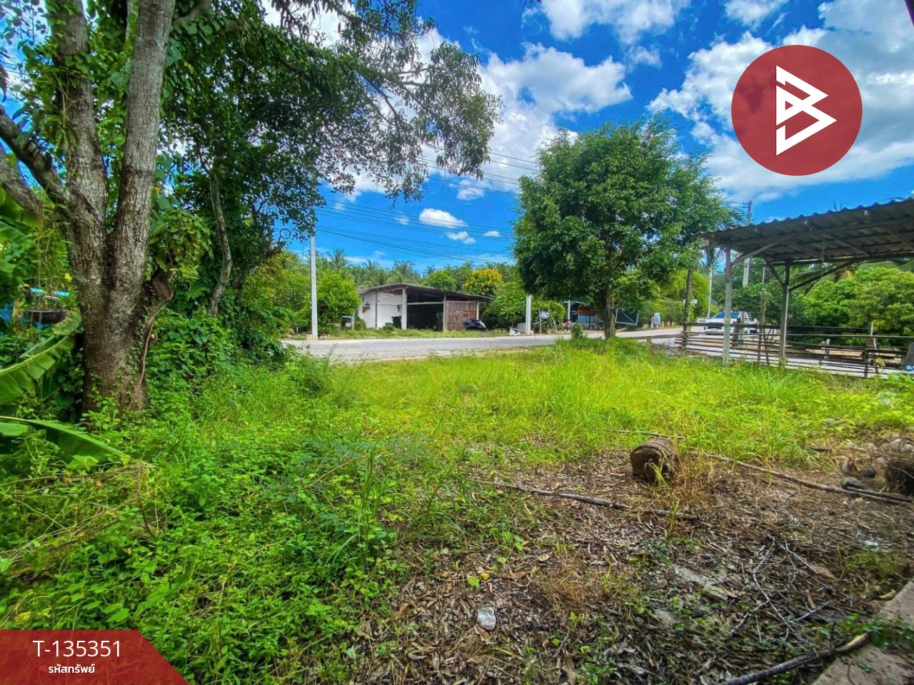 ขายที่ดิน เนื้อที่ 3 งาน 82.4 ตารางวา อัมพวา สมุทรสงคราม ทำเลดี ใกล้ถนนหลัก 3