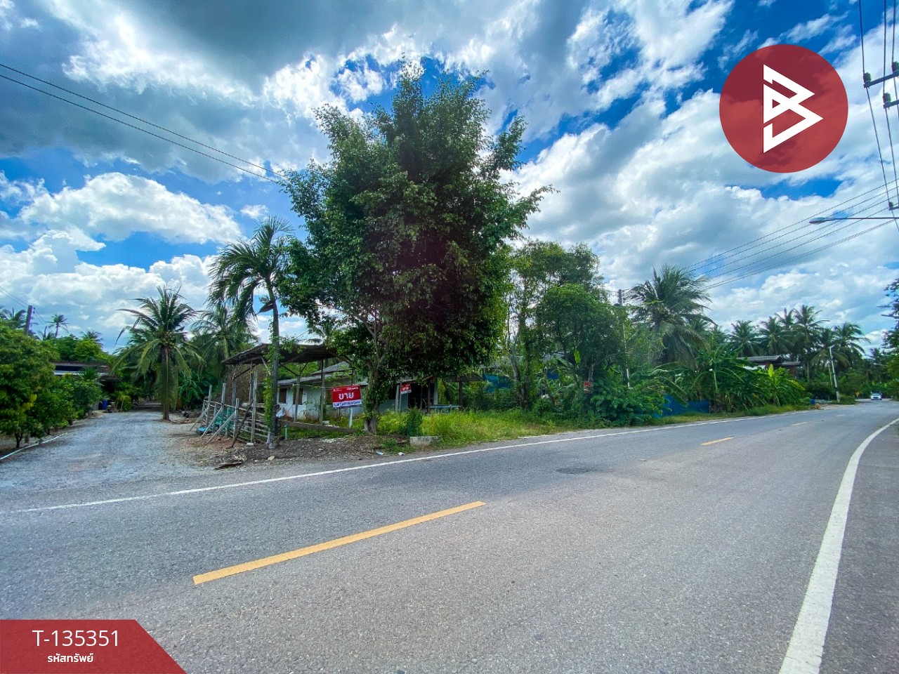 ขายที่ดิน เนื้อที่ 3 งาน 82.4 ตารางวา อัมพวา สมุทรสงคราม ทำเลดี ใกล้ถนนหลัก 6