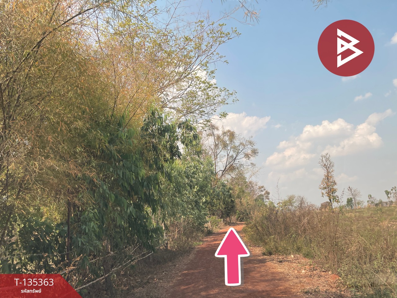 ขายที่ดิน เนื้อที่ 39 ไร่ 18 ตร.วา ต.นาคำ อ.อุบลรัตน์ จ.ขอนแก่น ใกล้เขื่อนอุบลรัตน์ วิวภูเขา 7