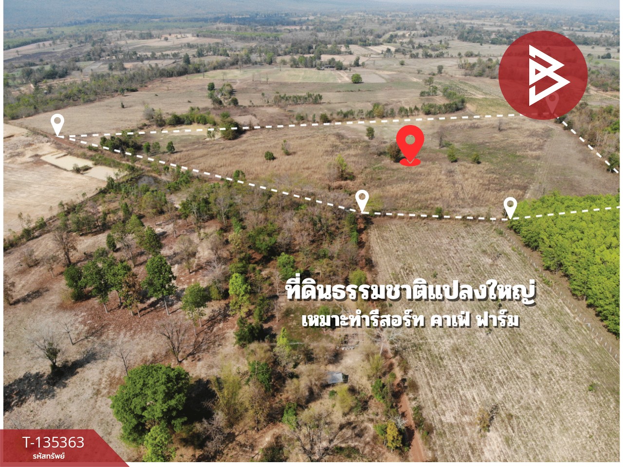 ขายที่ดิน เนื้อที่ 39 ไร่ 18 ตร.วา ต.นาคำ อ.อุบลรัตน์ จ.ขอนแก่น ใกล้เขื่อนอุบลรัตน์ วิวภูเขา 6