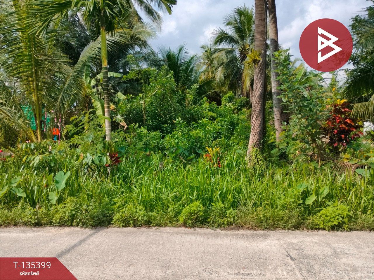 ขายที่ดิน เนื้อที่ 1 ไร่ 1 งาน 45.4 ตร.วา ปากนคร นครศรีธรรมราช 6