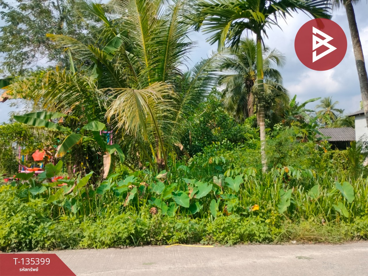 ขายที่ดิน เนื้อที่ 1 ไร่ 1 งาน 45.4 ตร.วา ปากนคร นครศรีธรรมราช 5