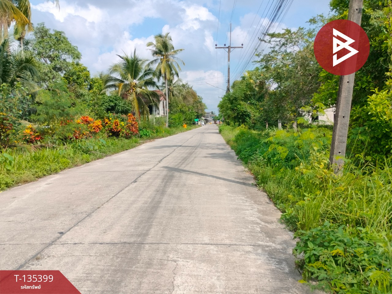 ขายที่ดิน เนื้อที่ 1 ไร่ 1 งาน 45.4 ตร.วา ปากนคร นครศรีธรรมราช 8