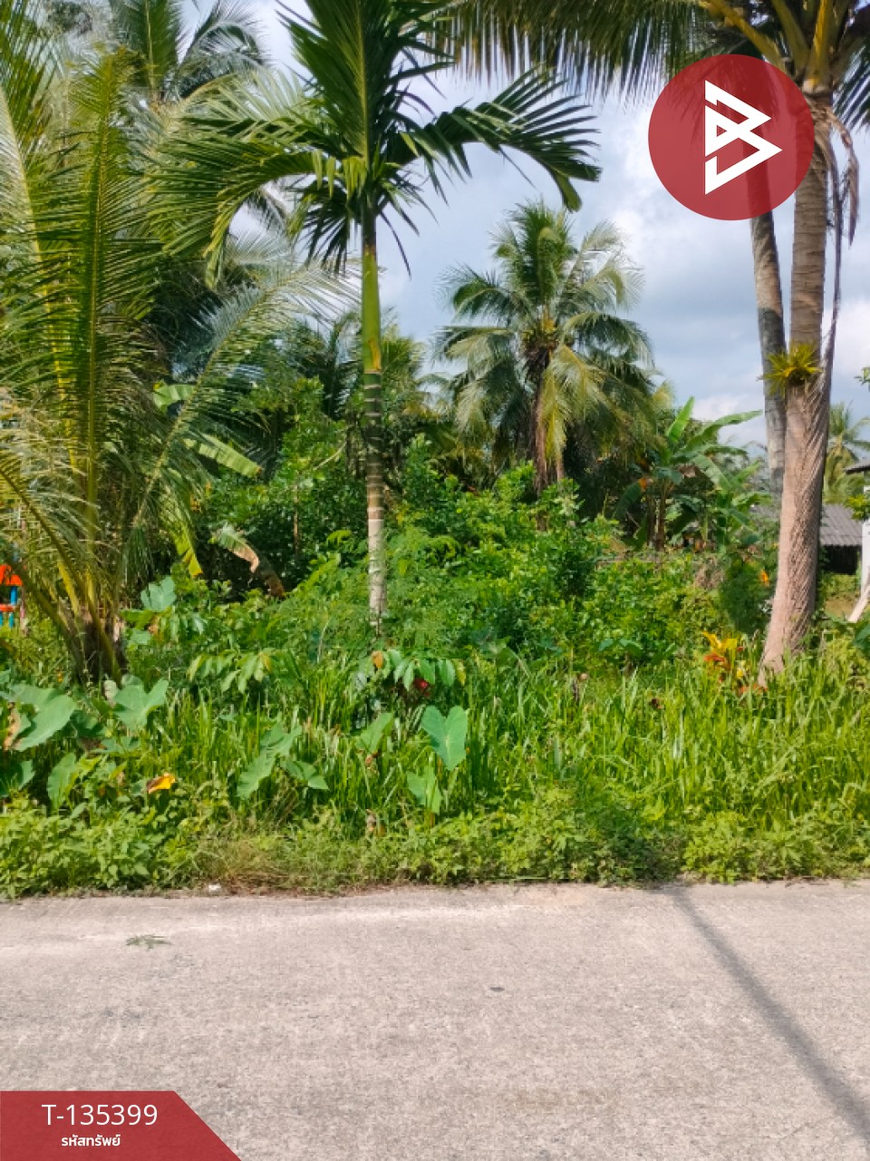 ขายที่ดิน เนื้อที่ 1 ไร่ 1 งาน 45.4 ตร.วา ปากนคร นครศรีธรรมราช 2