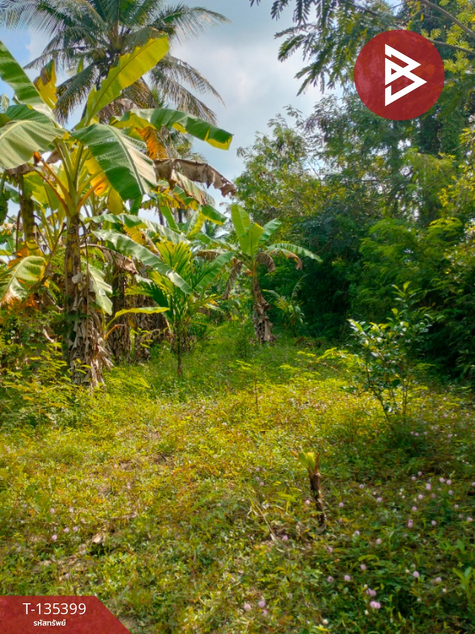 ขายที่ดิน เนื้อที่ 1 ไร่ 1 งาน 45.4 ตร.วา ปากนคร นครศรีธรรมราช 4