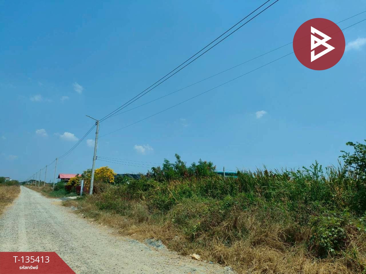 ขายที่ดิน เนื้อที่ 1 งาน บางปะกง ฉะเชิงเทรา 5