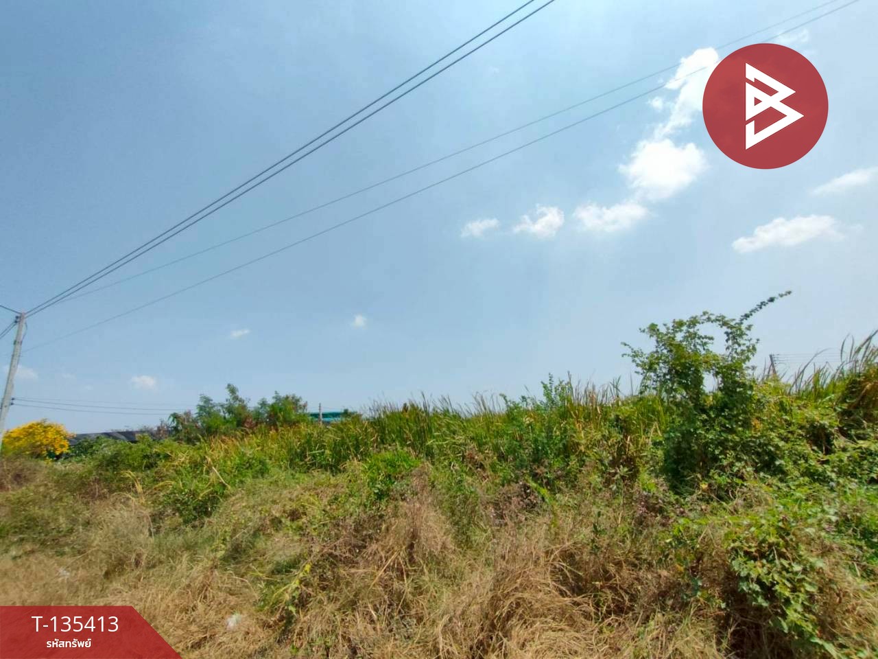 ขายที่ดิน เนื้อที่ 1 งาน บางปะกง ฉะเชิงเทรา 3