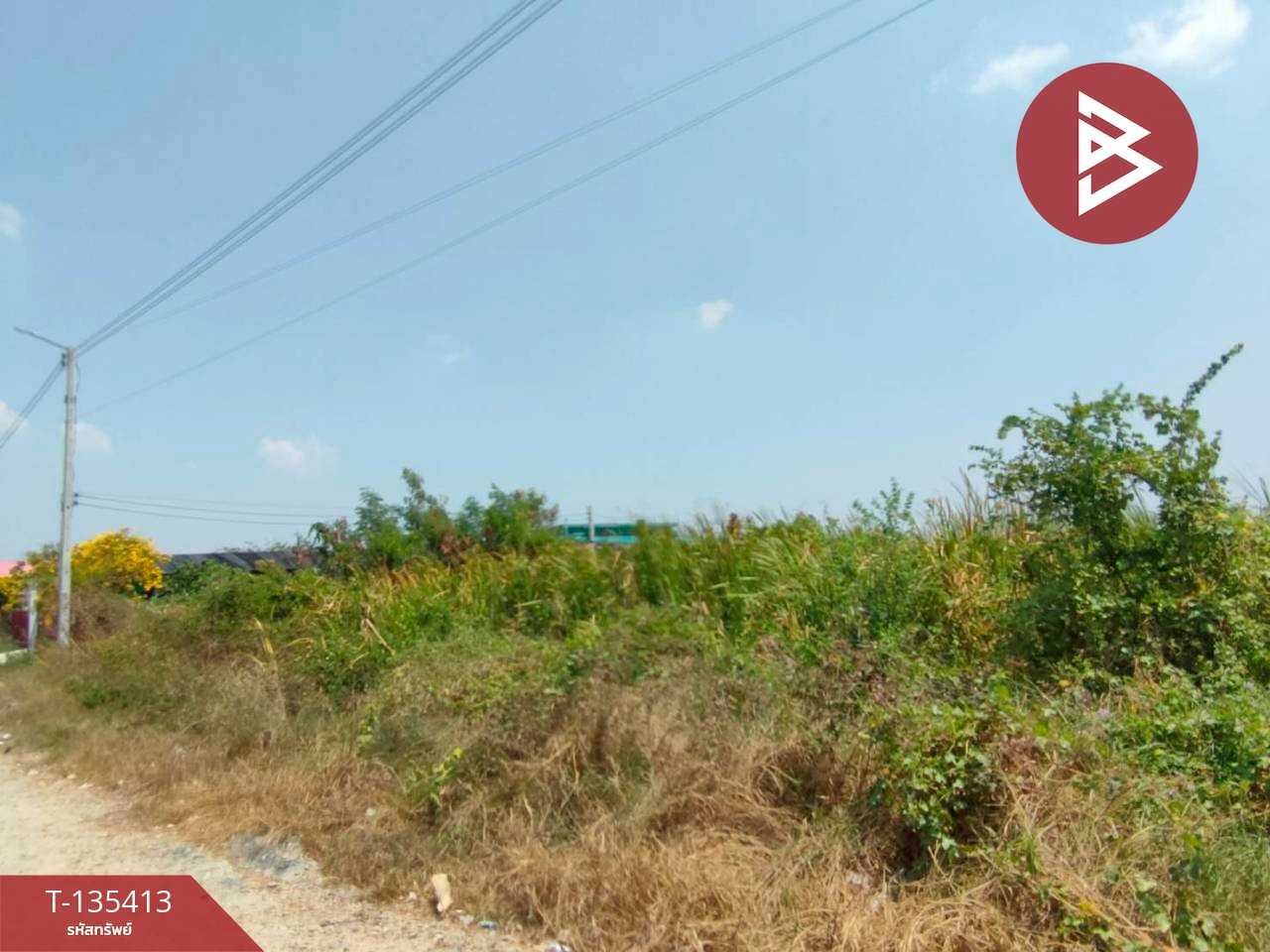 ขายที่ดิน เนื้อที่ 1 งาน บางปะกง ฉะเชิงเทรา 6