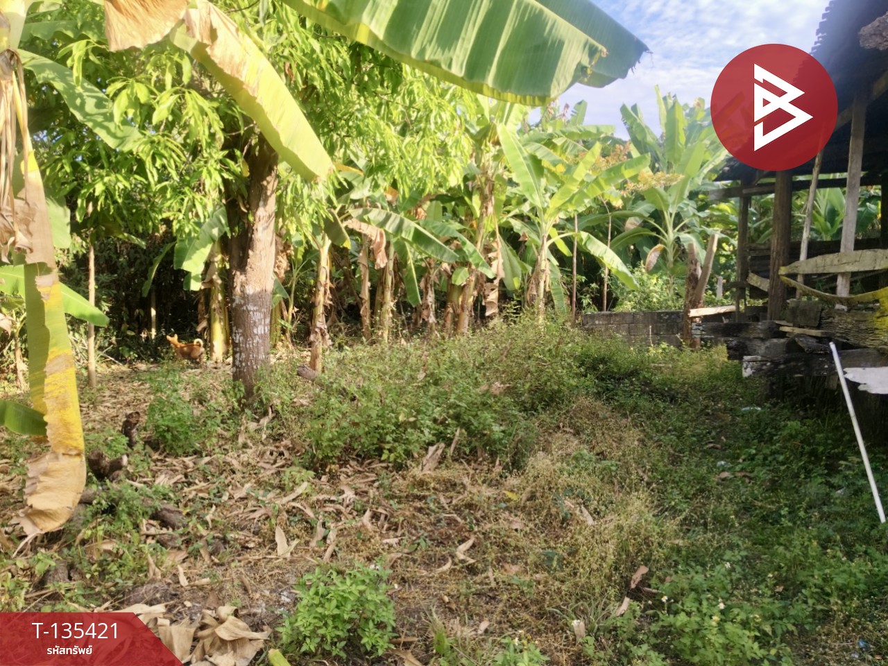 ขายที่ดิน เนื้อที่ 1 งาน 96 ตร.วา ท่าอิฐ อุตรดิตถ์ 12