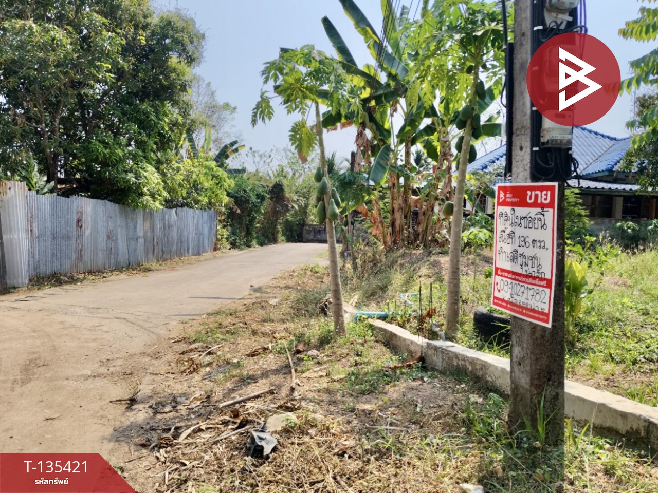 ขายที่ดิน เนื้อที่ 1 งาน 96 ตร.วา ท่าอิฐ อุตรดิตถ์ 13