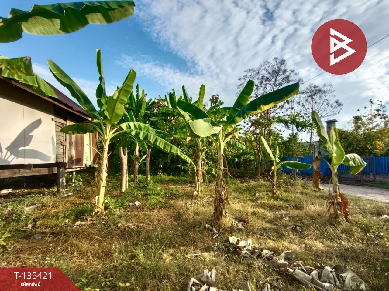 ขายที่ดิน เนื้อที่ 1 งาน 96 ตร.วา ท่าอิฐ อุตรดิตถ์ 9