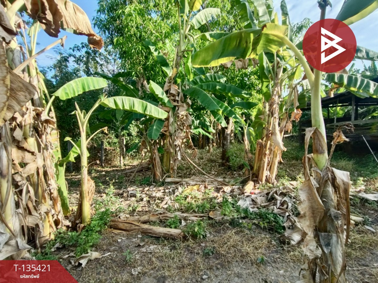 ขายที่ดิน เนื้อที่ 1 งาน 96 ตร.วา ท่าอิฐ อุตรดิตถ์ 11