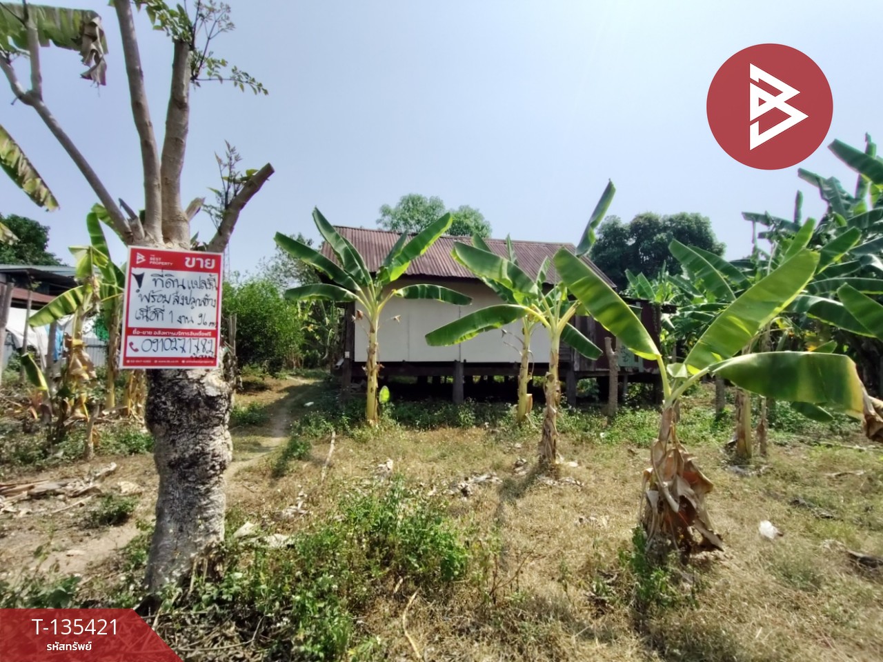 ขายที่ดิน เนื้อที่ 1 งาน 96 ตร.วา ท่าอิฐ อุตรดิตถ์ 2