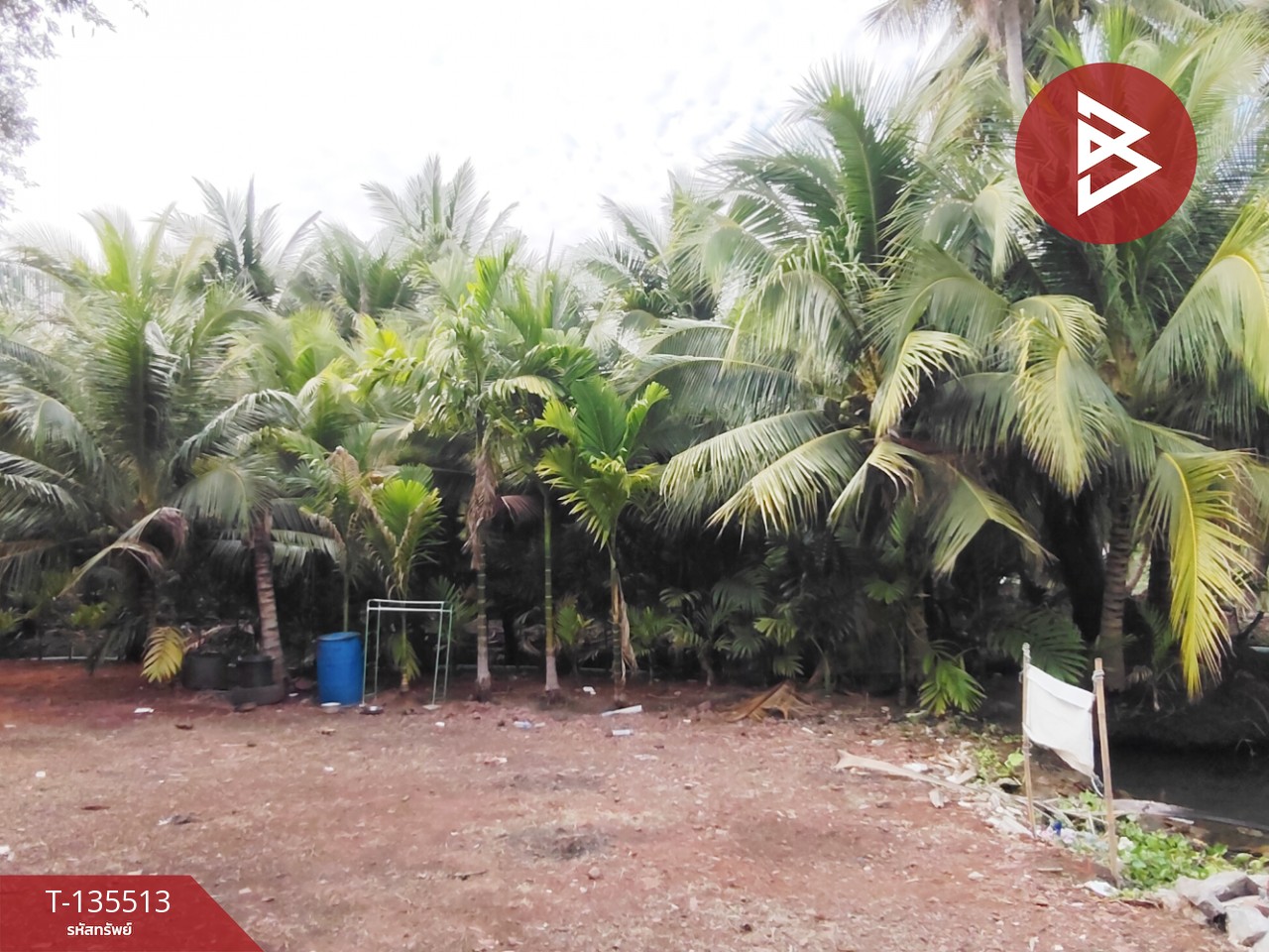 ขายที่ดิน เนื้อที่ 2 งาน 56.7 ตร.วา ดำเนินสะดวก ราชบุรี 4