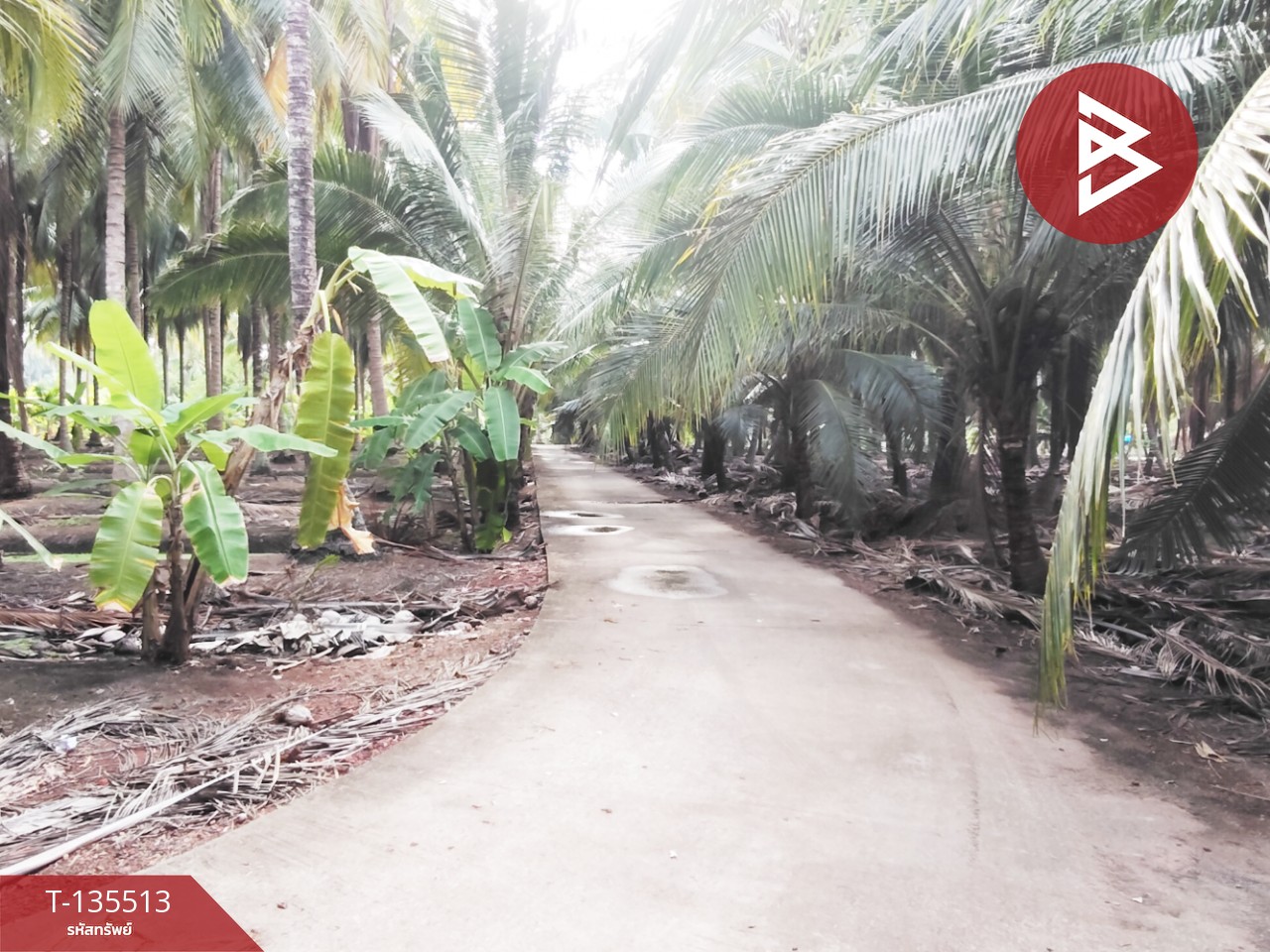 ขายที่ดิน เนื้อที่ 2 งาน 56.7 ตร.วา ดำเนินสะดวก ราชบุรี 8