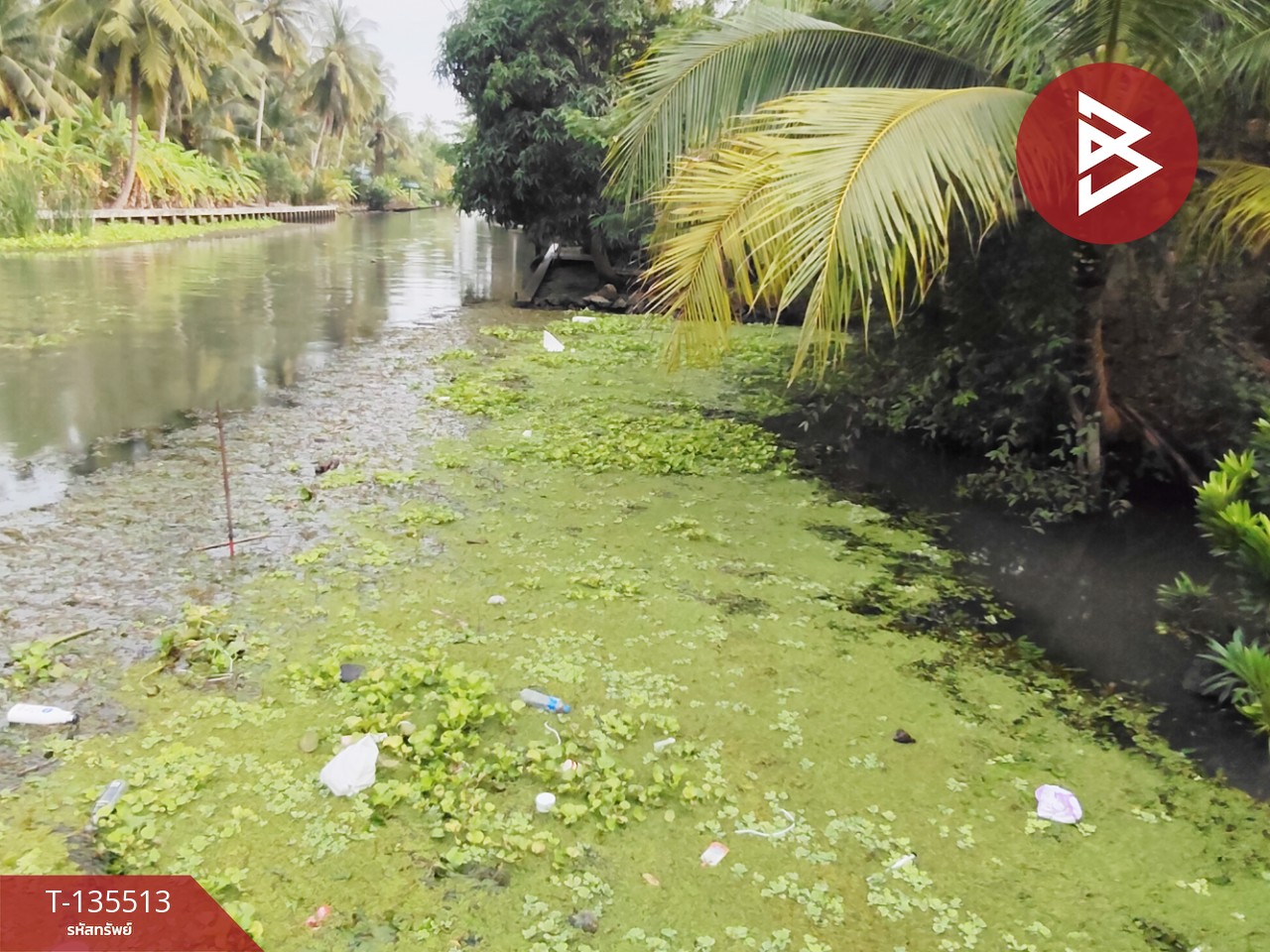 ขายที่ดิน เนื้อที่ 2 งาน 56.7 ตร.วา ดำเนินสะดวก ราชบุรี 9