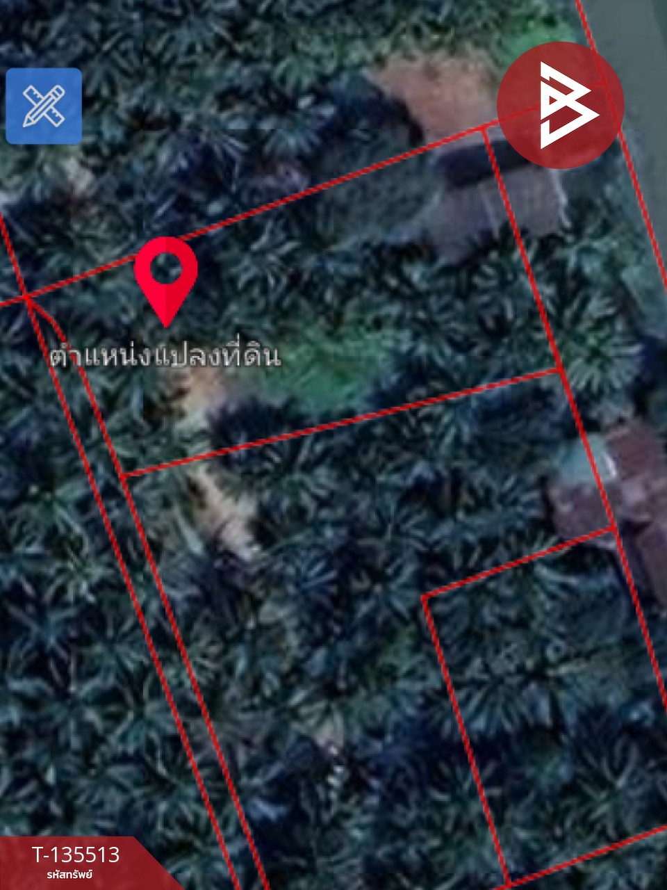 ขายที่ดิน เนื้อที่ 2 งาน 56.7 ตร.วา ดำเนินสะดวก ราชบุรี 10