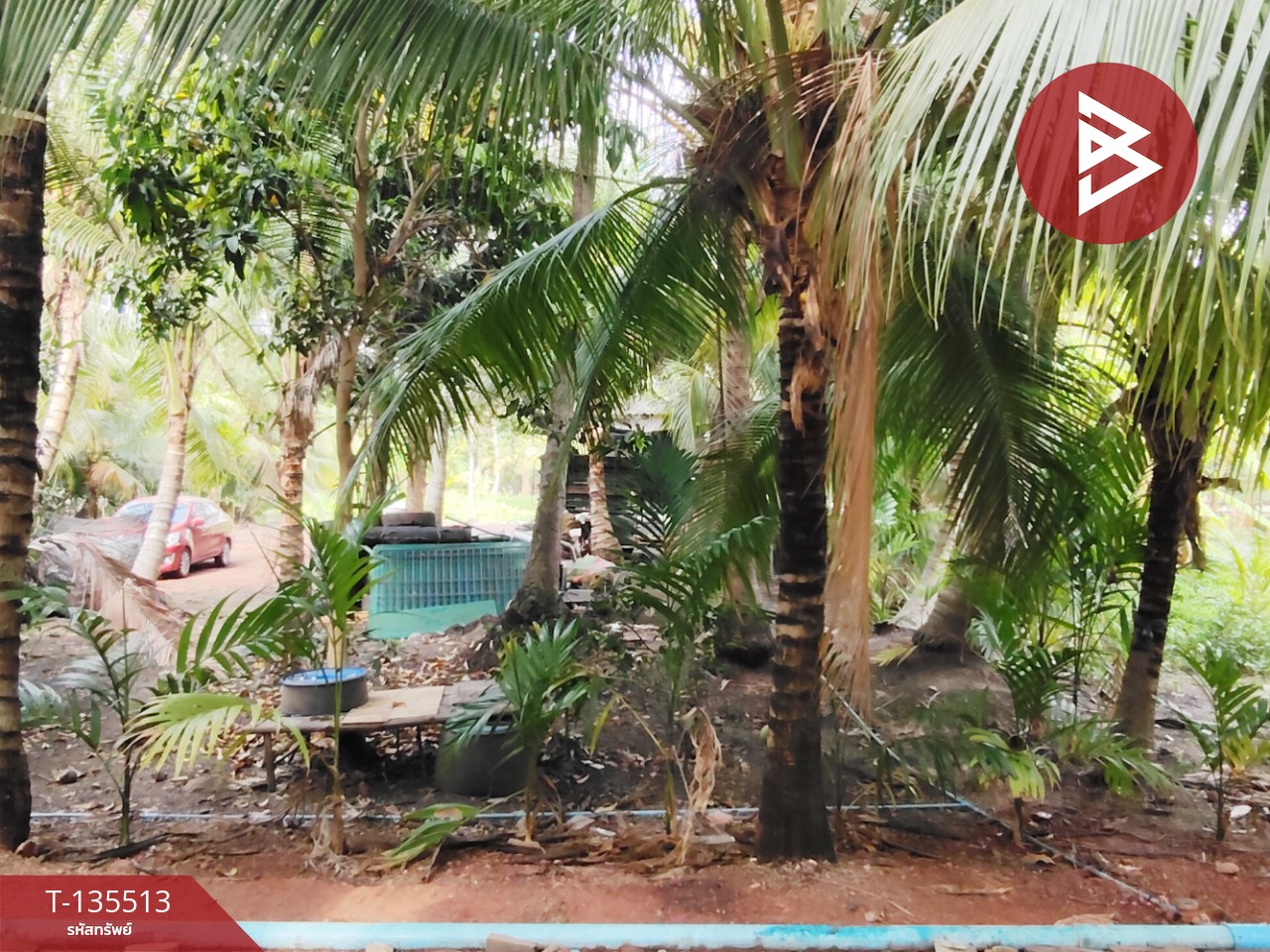 ขายที่ดิน เนื้อที่ 2 งาน 56.7 ตร.วา ดำเนินสะดวก ราชบุรี 5