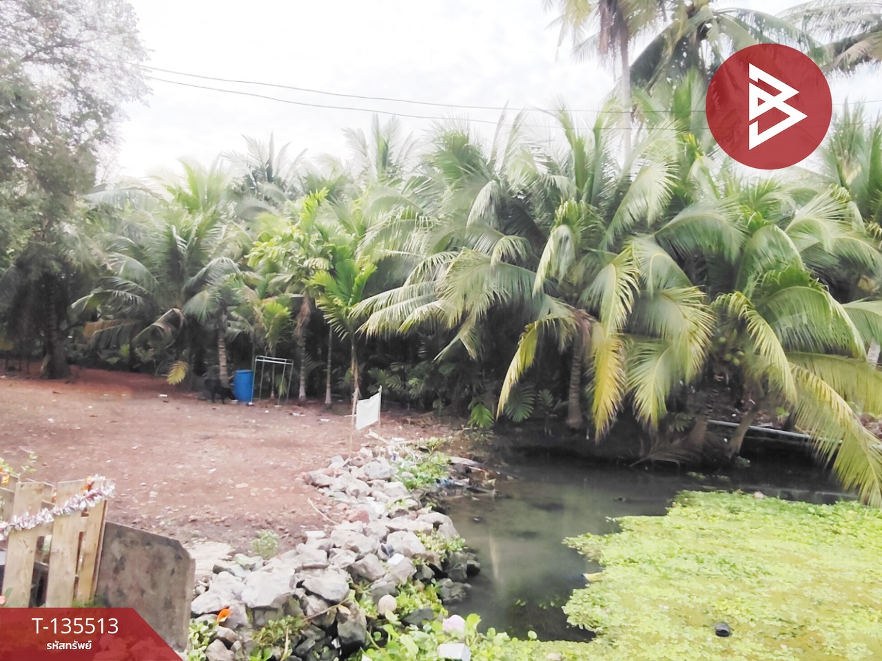 ขายที่ดิน เนื้อที่ 2 งาน 56.7 ตร.วา ดำเนินสะดวก ราชบุรี 2