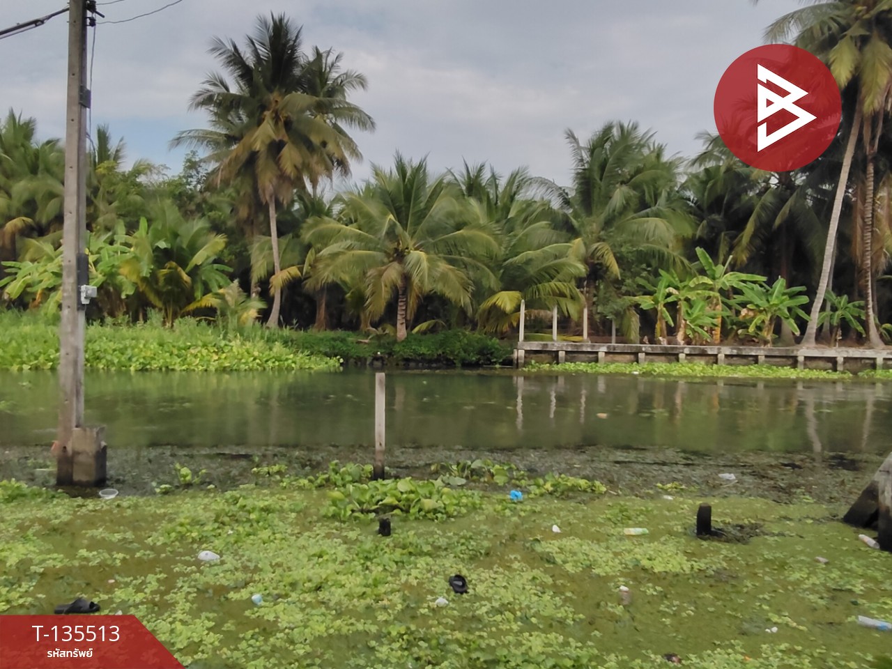 ขายที่ดิน เนื้อที่ 2 งาน 56.7 ตร.วา ดำเนินสะดวก ราชบุรี 6