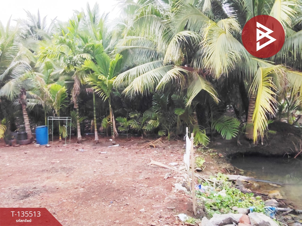 ขายที่ดิน เนื้อที่ 2 งาน 56.7 ตร.วา ดำเนินสะดวก ราชบุรี 1