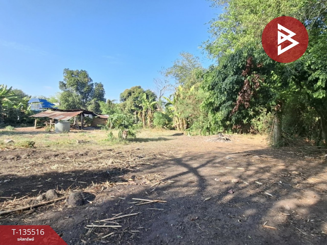 ขายที่ดิน เนื้อที่ 2 งาน 96 ตร.วา เหนือเมือง ร้อยเอ็ด 4