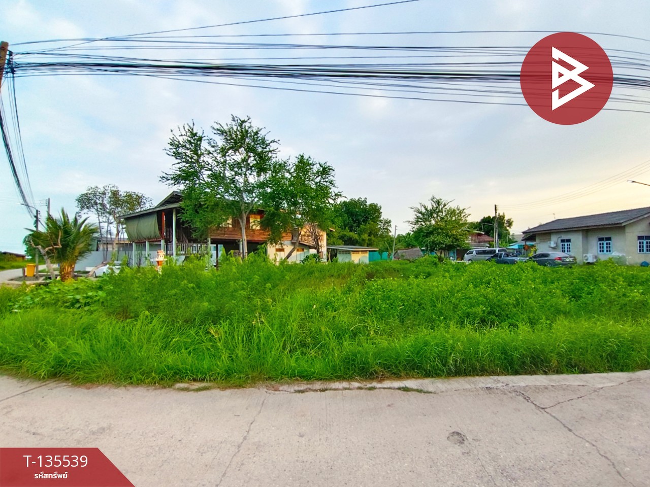 ขายที่ดิน เนื้อที่ 1 งาน กาหลง สมุทรสาคร 5