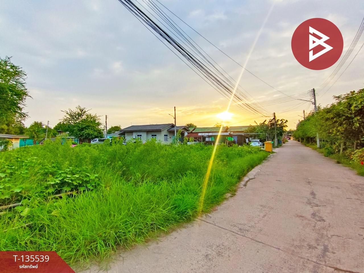 ขายที่ดิน เนื้อที่ 1 งาน กาหลง สมุทรสาคร 7