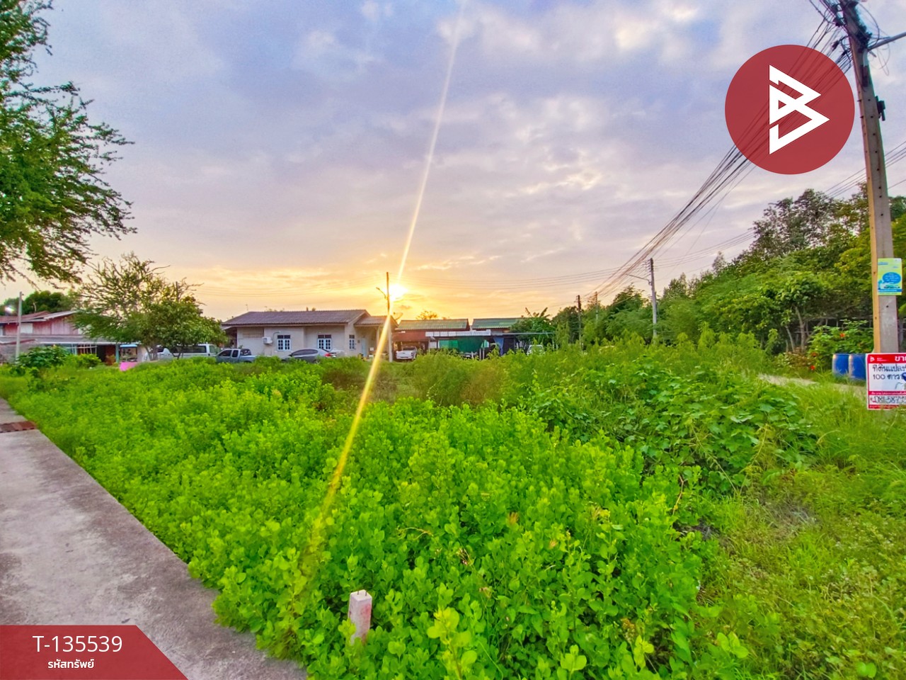 ขายที่ดิน เนื้อที่ 1 งาน กาหลง สมุทรสาคร 3