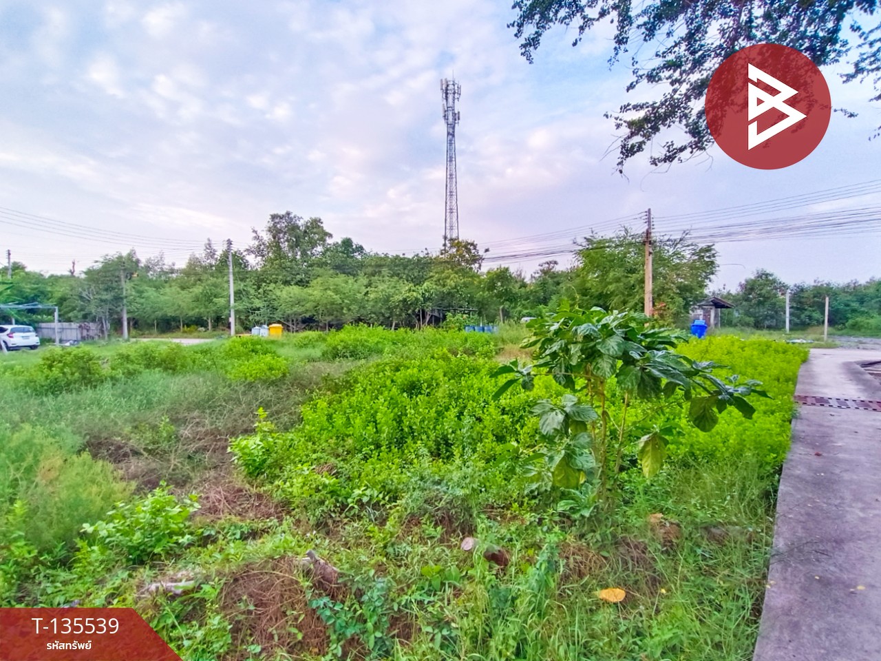 ขายที่ดิน เนื้อที่ 1 งาน กาหลง สมุทรสาคร 2